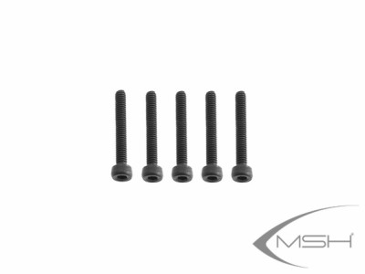 MSH41125 Винты M2x16 